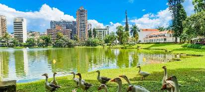ROTA DO CAF - MG 