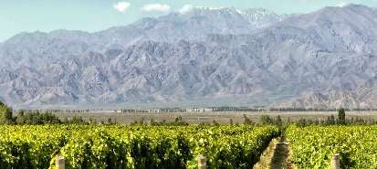 MENDOZA - A TERRA DOS VINHOS